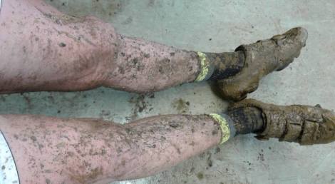 15965200_372242043139160_1562257434620506067_n